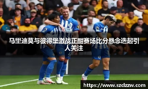 智博19有限公司